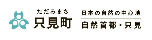 ソース画像を表示