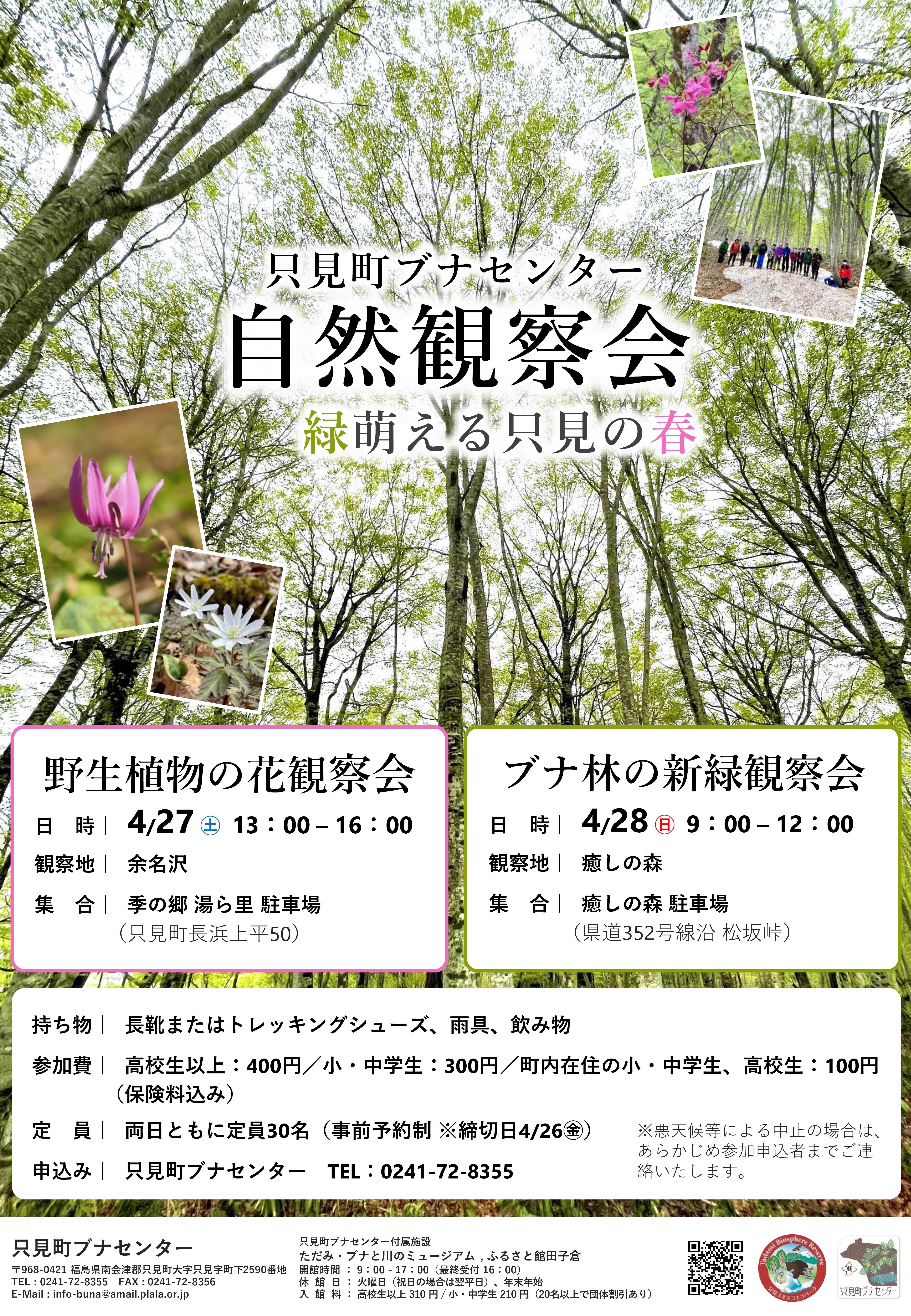 https://www.town.tadami.lg.jp/event/2024/04/16/ea41b94f7931224deebf74905b89c152.jpg