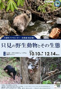 https://www.town.tadami.lg.jp/event/assets_c/2020/10/R2-3_Tadami_animal_poster-thumb-autox288-6731.jpg
